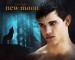 Jacob Black Character In The Twilight-10