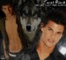 Jacob Black Character In The Twilight-30